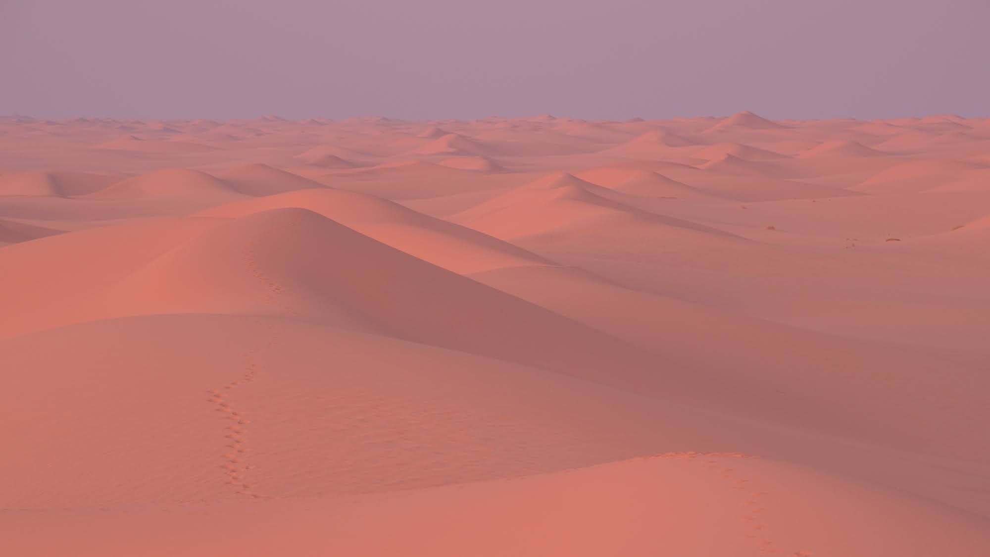 Saudi Arabia